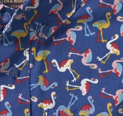 Boys Short-Sleeve Printed Shirt