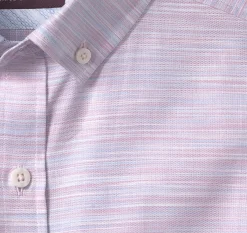 Button-Collar Premium Cotton Shirt